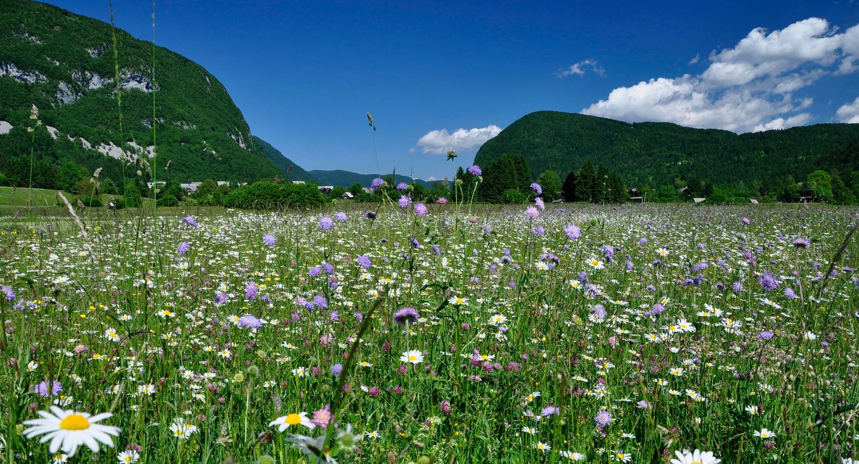 Multisport in Slovenië