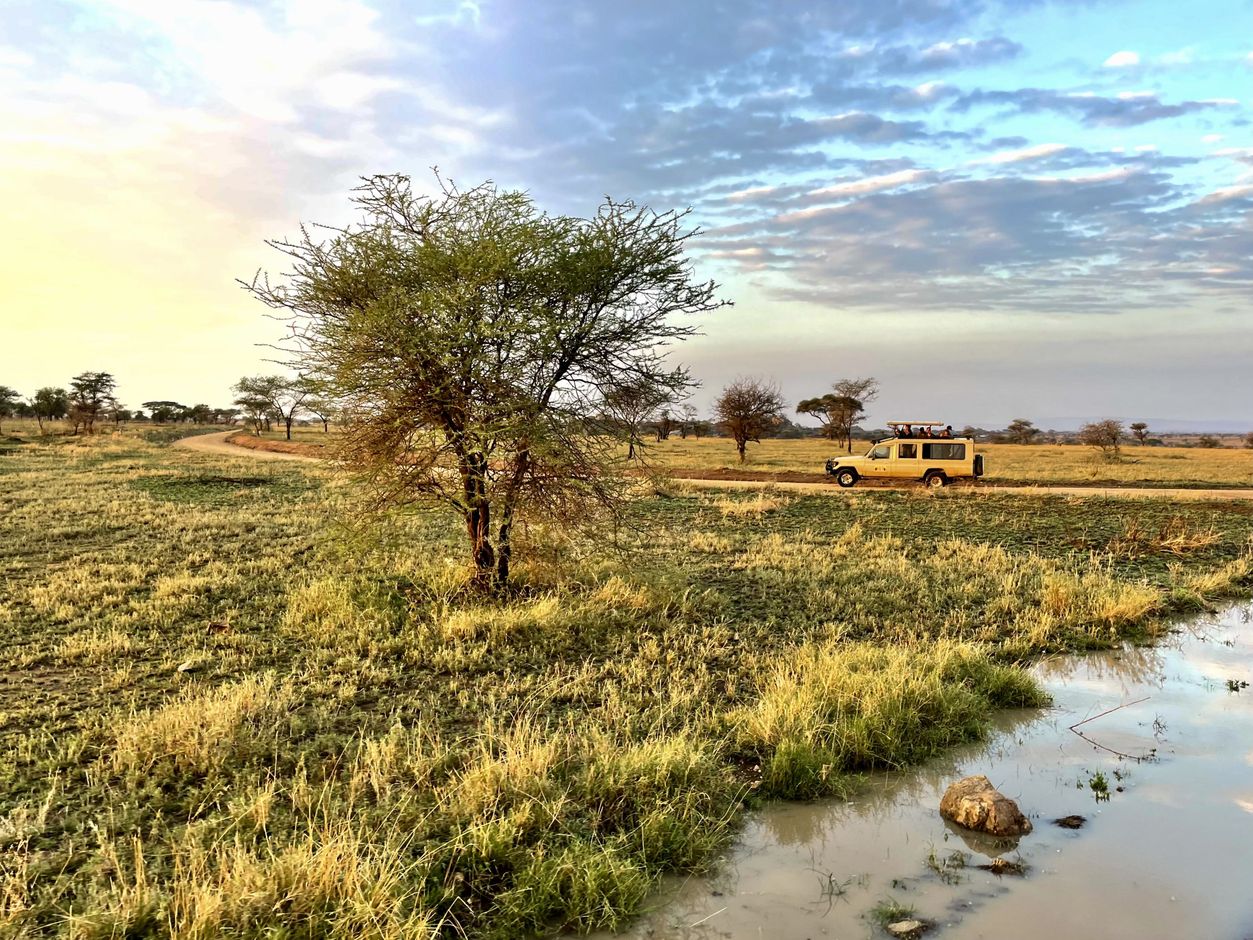 Serengeti